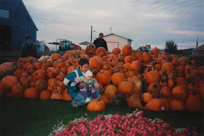 Récolte de citrouille automne 1996.